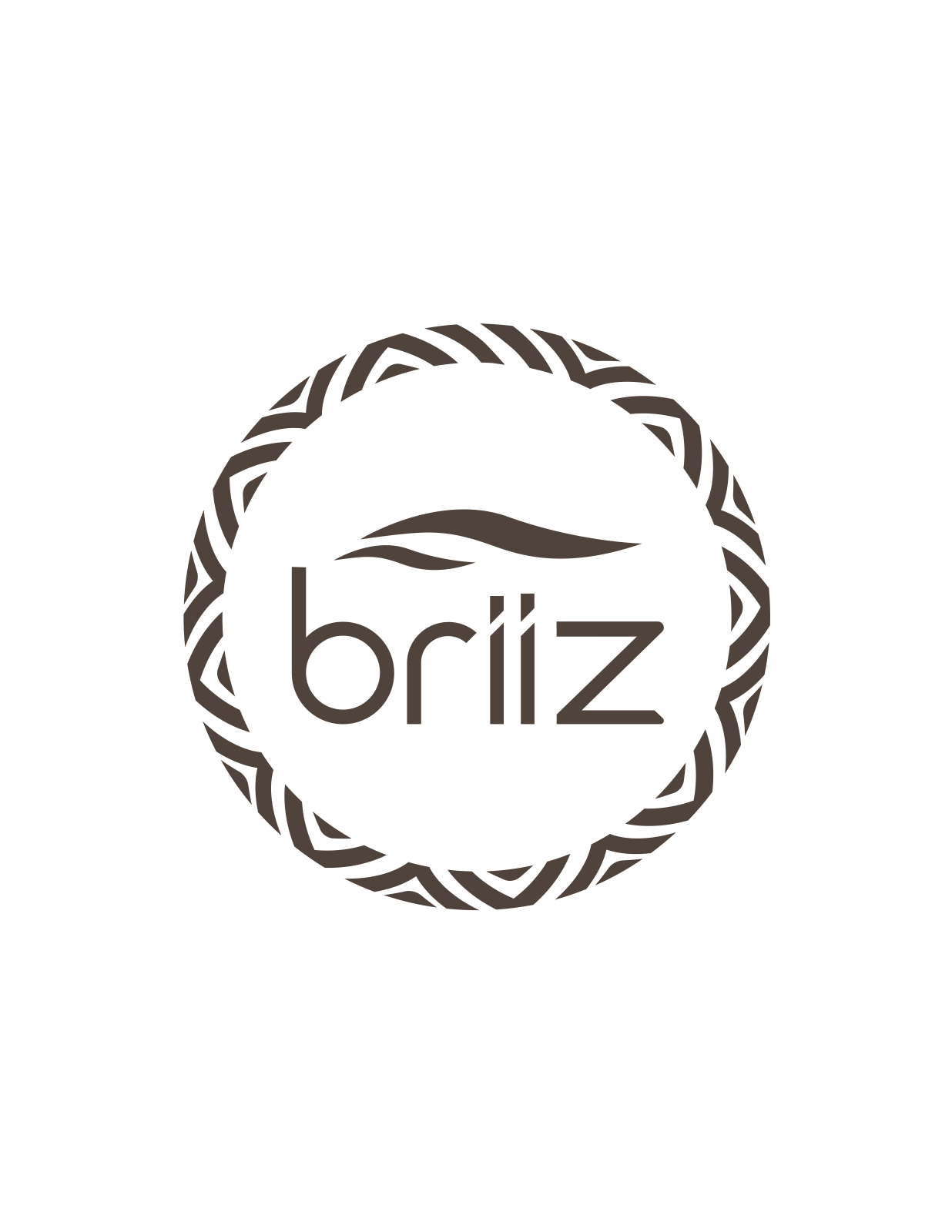 Briiz
